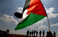 L’attivismo per la Palestina