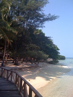 8 Indonesia parco tropicale nel cuore di Giakarta