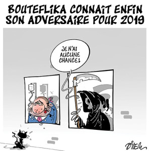Vignetta Dilem Algeria