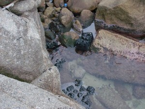 cala_grande_valle_della_luna01 cala_grande_valle_della_luna01