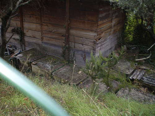 barbasciutta 3