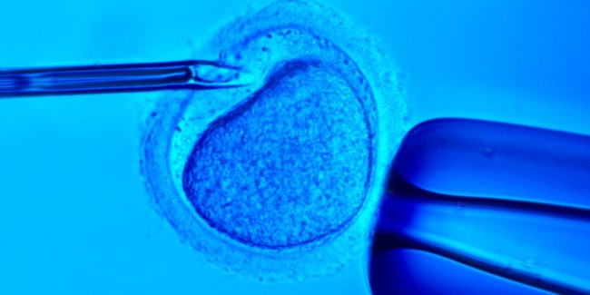 ivf