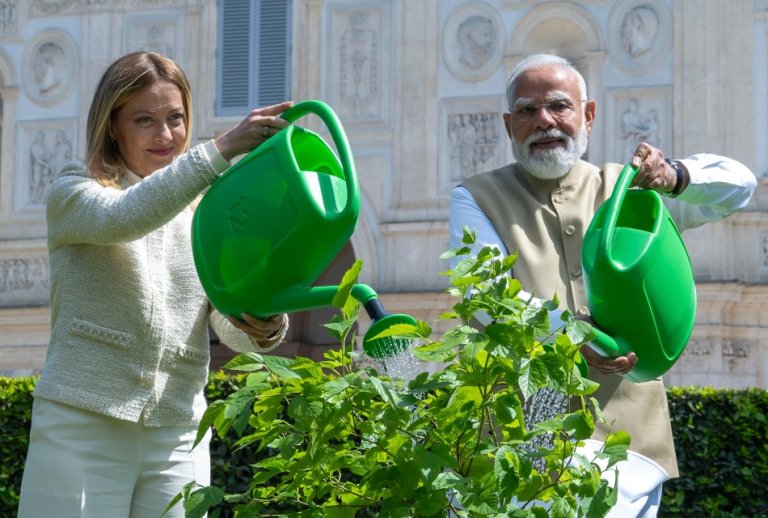 La cerimonia di piantumazione di un albero donato dal Primo Ministro dell'India, Narendra Modi, al Presidente del Consiglio, Giorgia Meloni, in occasione dell'incontro a Villa Doria Pamphilj. La cerimonia di piantumazione di un albero donato dal Primo Ministro dell'India, Narendra Modi, al Presidente del Consiglio, Giorgia Meloni, in occasione dell'incontro a Villa Doria Pamphilj.